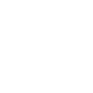 X (Twitter)